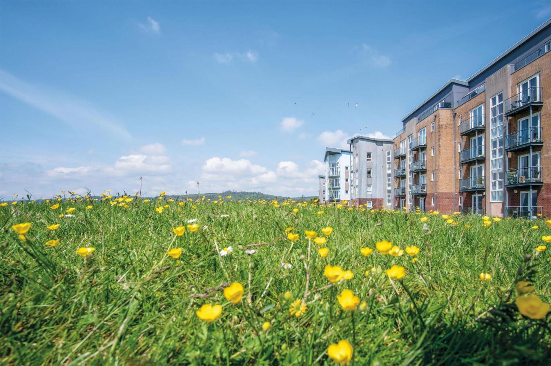 Beach View - 2 Bedroom Apartment - Llanelli Esterno foto